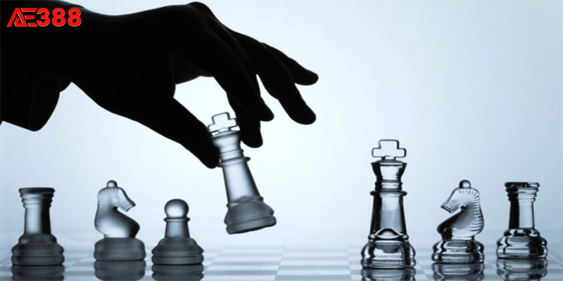 Sử dụng chiến thuật hợp lý trong đá gà Thomo để tăng phần thắng